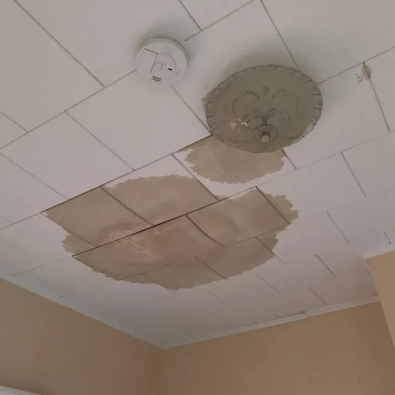 Ceiling Water Damage Repair in Zeigler, IL