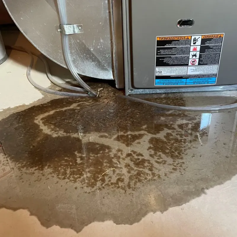 Pipe Burst and Leak Restoration in Zeigler, IL