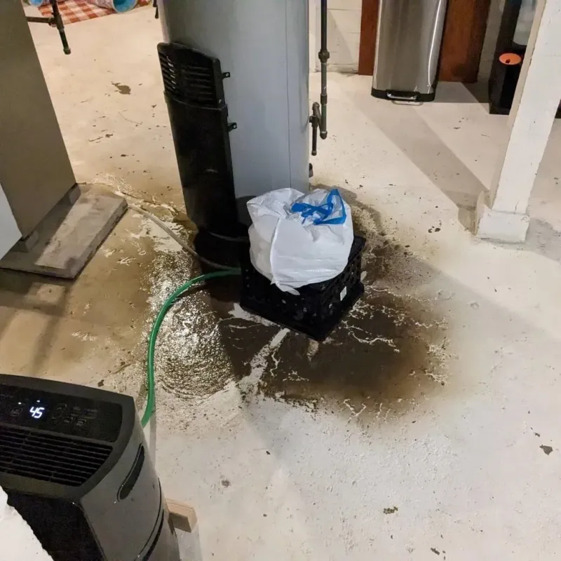 Sewage Backup Cleanup Service in Zeigler, IL